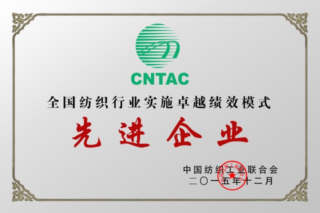 卓越績(jī)效先進(jìn)企業(yè)